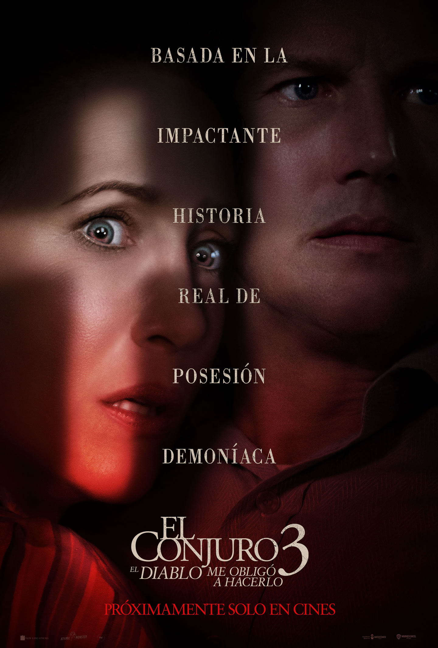 El Conjuro 3: El Diablo Me Obligó A Hacerlo - 2D 